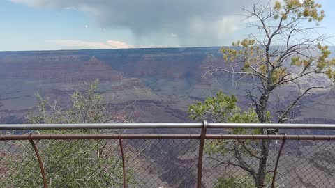 Interesting Facts About the Grand Canyon If You Plan To Visit