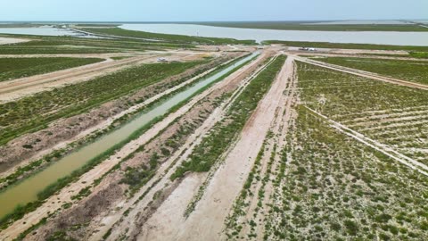 2 BILLION New Acres of Farmland with plants on saltwater