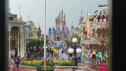 🔴 🏰✨LIVE from Disney World with interactive GPS