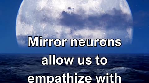 Mirror neurons allow us to empathize with others by mirroring their emotions.