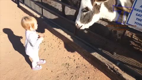TRY NOT TO LAUGH - Funny KIDS vs ZOO ANIMALS! So funny!