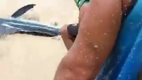 que você faria se encontrasse um peixe Marlim encalhado na Praia?