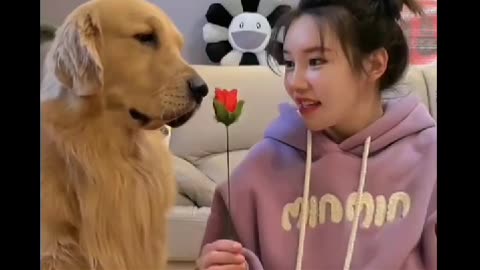 Cute Animals talk with Cute Girl