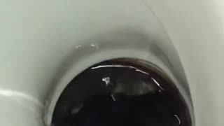 Different Kind Of Toilet Snake