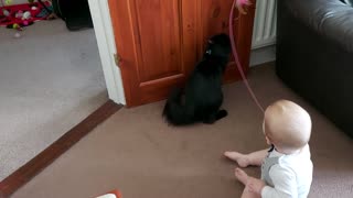 Baby And Kitty Love Playing Together