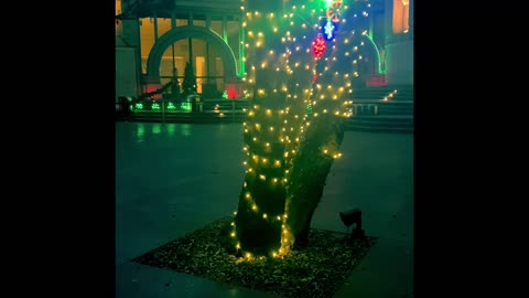 Escondido Art Center Christmas lights show