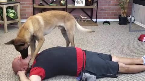 Dog performs CPR to its owner