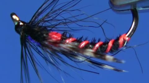 Tying a Trout Fly with Davie McPhail