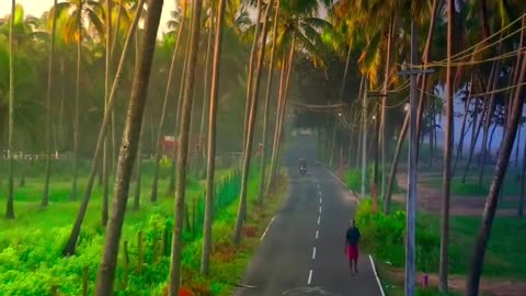 Early morning Scene in Village