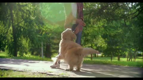 Cute baby dog fanny video