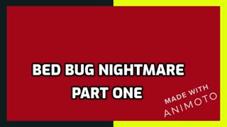 BED BUG NIGHTMARE Part One