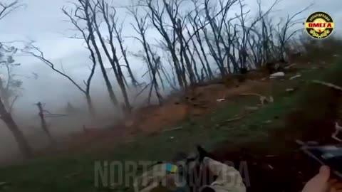 Must-See Footage of a Ukrainian Assault on Russian Lines