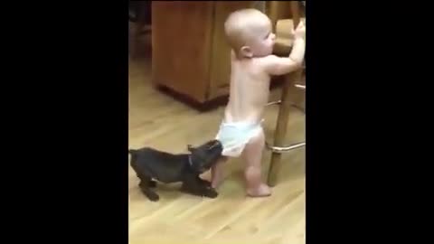 Cute Puppies and Babies Funny Clips