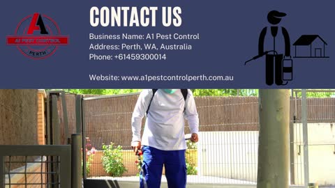 Things You Must Consider When Hiring The Best Pest Control In Joondalup