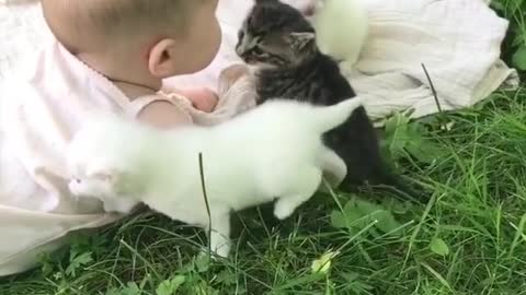 Cute kid and pets