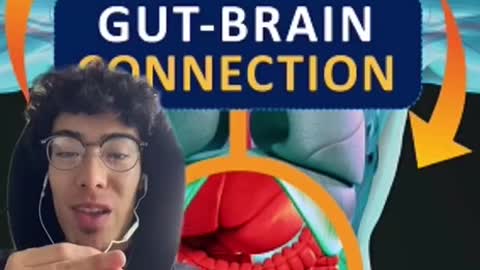 Gut Brain Connection