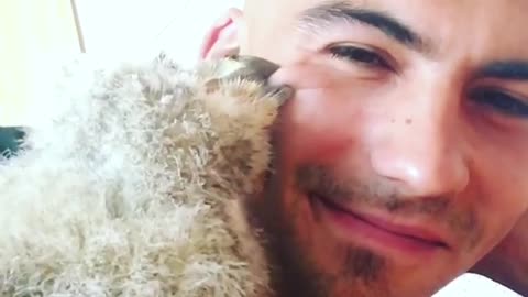 Baby owl gives caretaker loving kisses