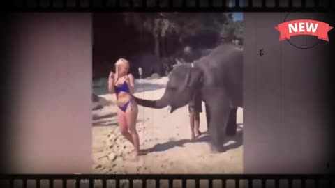 Fanny elephant moment cute lady fanny video