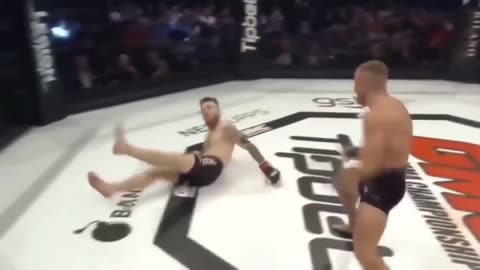 Best MMA knockouts