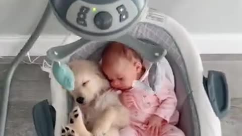 New Born Puppy With Baby 💓