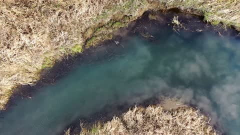 Aerial Photos Aid Biologists - Yellowstone Forever