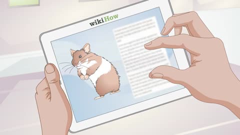 Tips to get a Hamster to sleep