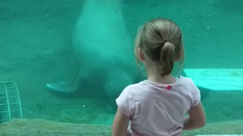 Walrus Gives Girl a Kiss