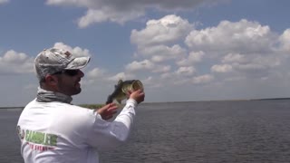 Best Bait for Sustainable Bass Fishing