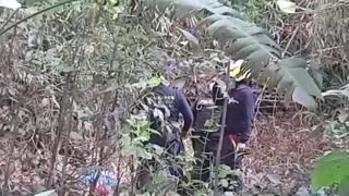 Video: Una mujer se habría lanzado del Viaducto La Flora en Bucaramanga