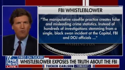 Whistleblower: FBI Creating False Narrative - Listing each Jan. 6 Arrest as Domestic Terrorism