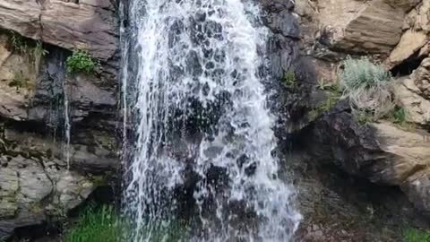 Water fall video in jungle