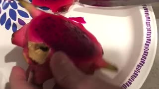 What inside a freshly cut dragon fruit looks like