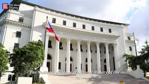 Philippine Museum Of Natural History