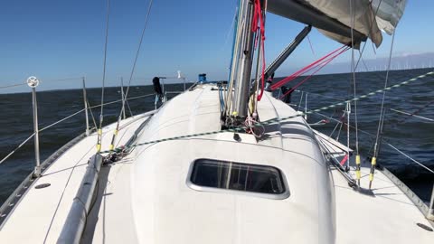 OeneZ - Solo Sailing (Ijsselmeer) June 6 2021