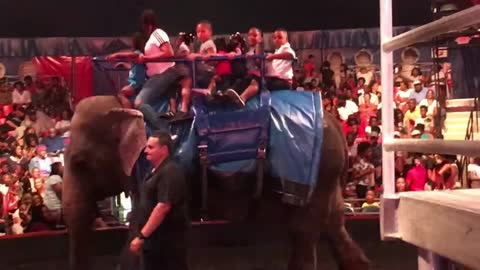 Blasian Baby Sister Rides Baby Elephant!