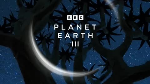 TRAILER DROP 🌎 #PlanetEarth3