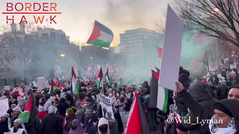 INSURRECTION? Or... MOSTLY PEACEFUL Protest at the White House?