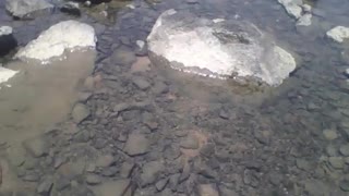 Filmando entre as pedras do mar, é raso, mas é perigoso [Nature & Animals]