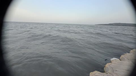 Chilika Lake | India .