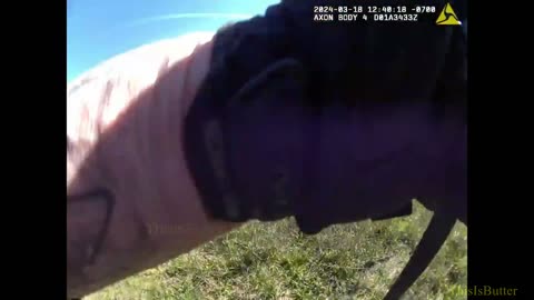 Pierce County release bodycam video of K9 Eddie tracking down and biting a wanted man