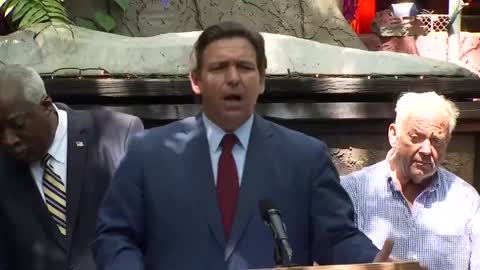 Florida Gov. DeSantis reacts to Agricultural Commissioner Nikki Fried announcing a run against him