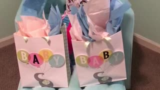Twin Gender Reveal by Big Sister