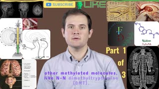 Journey into the Mid-Line of the Brain: Unveiling Pineal Gland Mysteries_Episode 1 of 3