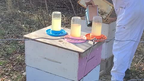 Beehive inspection late October