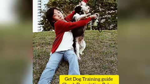 Boy Was Training For Dog.