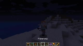 Minecraft vanilla skin version 1.17.1_Shorts_44