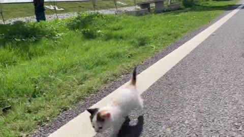 Cat Sister's Physical Education Classroom