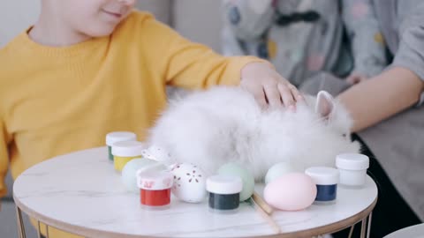 Children play with a cute fluffy rabbit