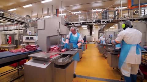 Modern Pig Farm - Fresh Pork Production Process - Automatic Pork Cutting Line Machine - Pork Plant