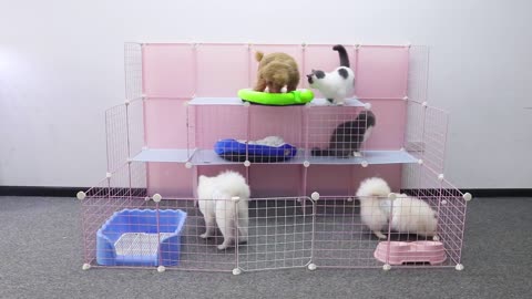 DIY Dog House To Welcome The New Year 2024 - How to make house for Pomeranian Poodle puppy, cute cat